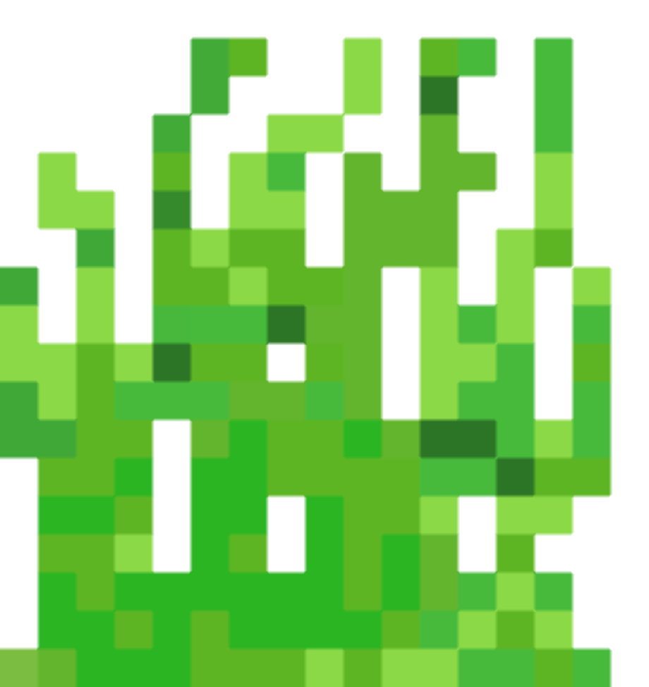 grass transparent pixel