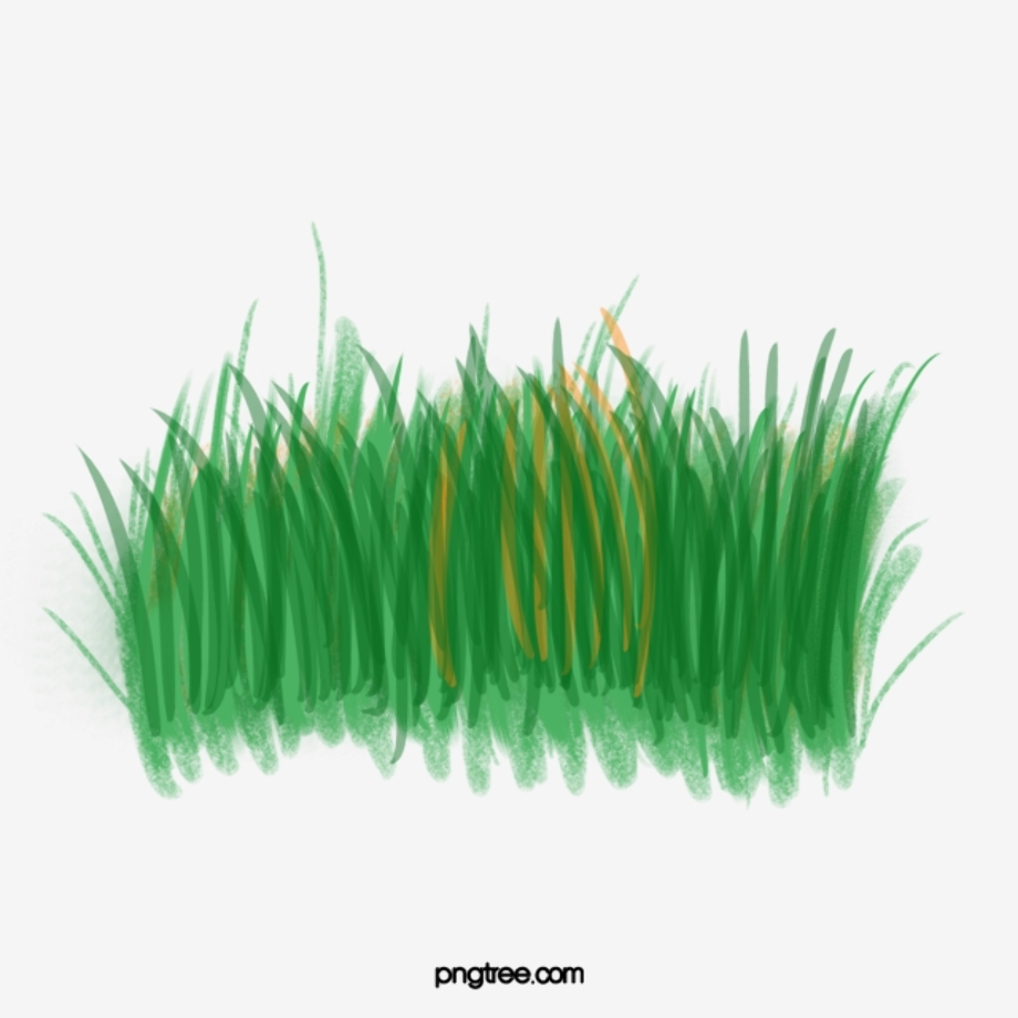 grass transparent watercolor
