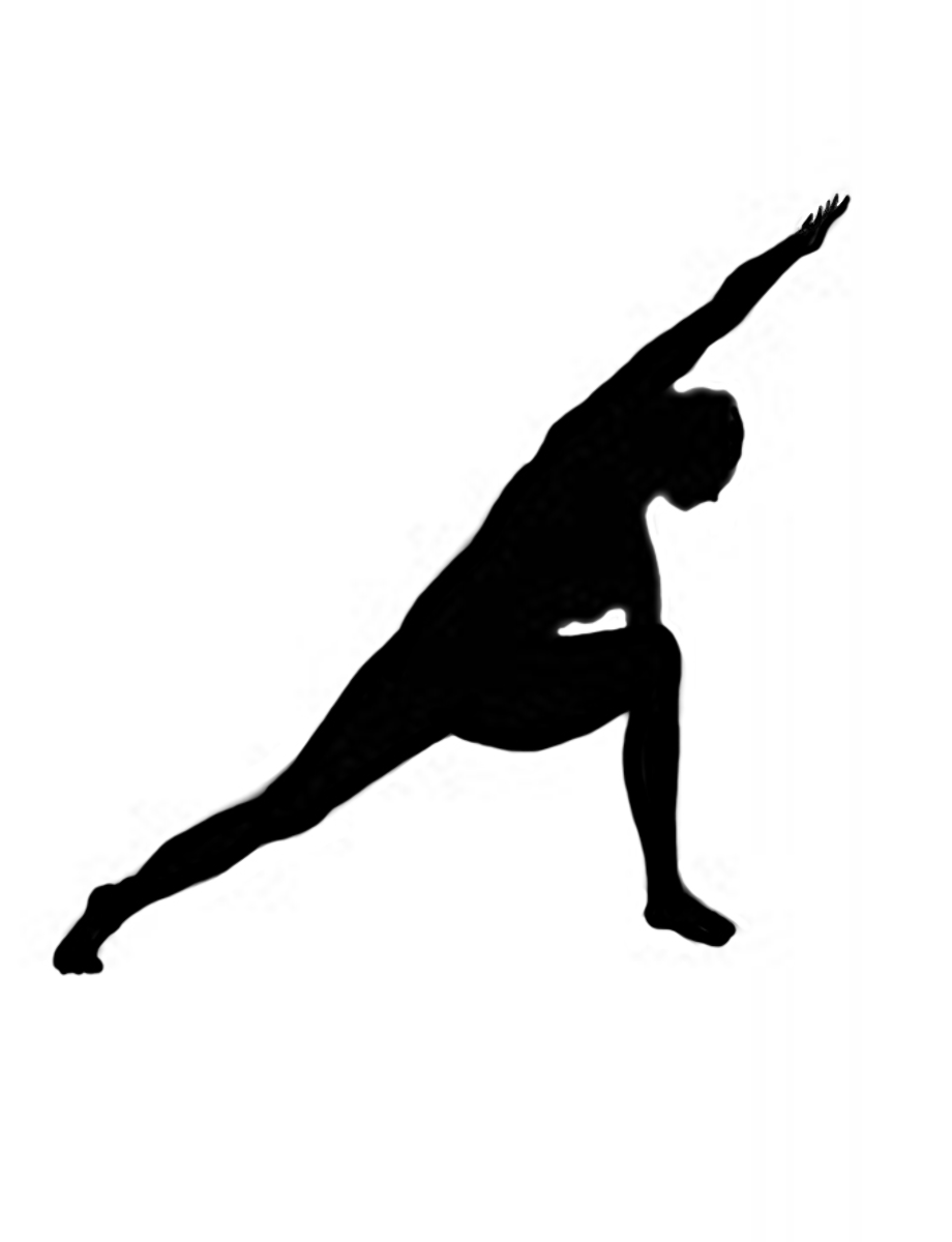 Download High Quality gymnastics clipart vector Transparent PNG Images ...