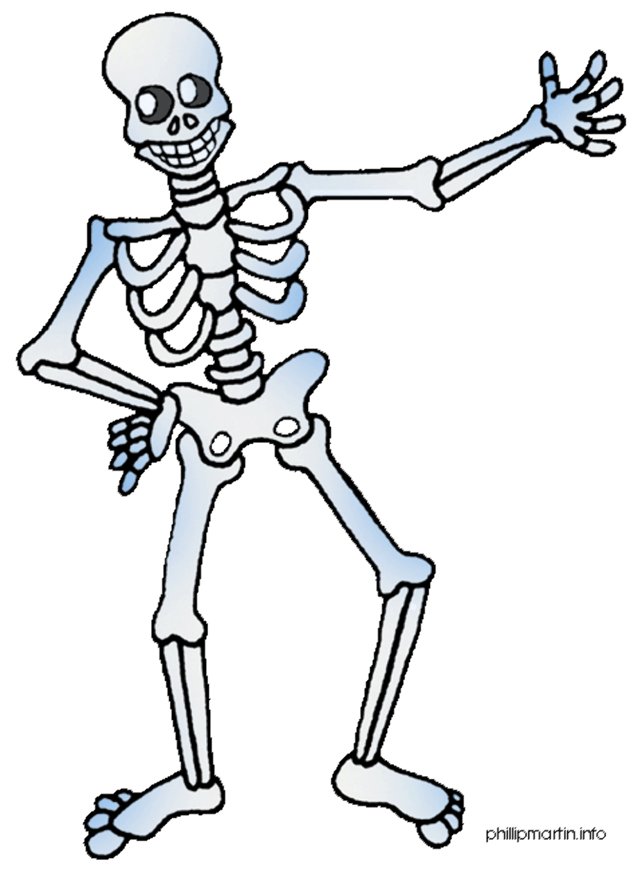 skeleton clipart human