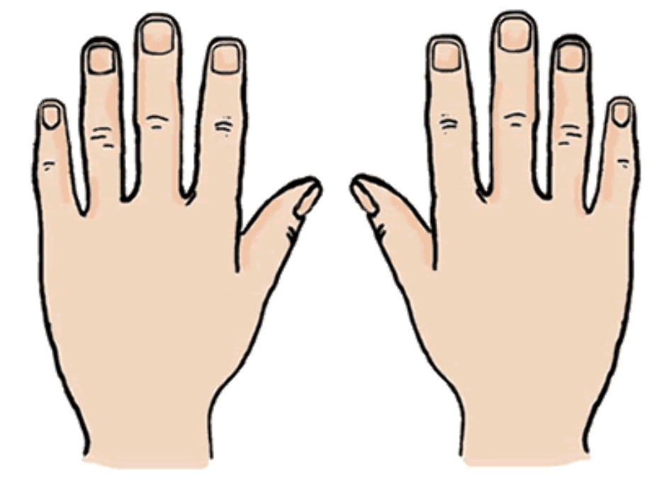 Download High Quality Hand Clipart Finger Transparent Png Images Art