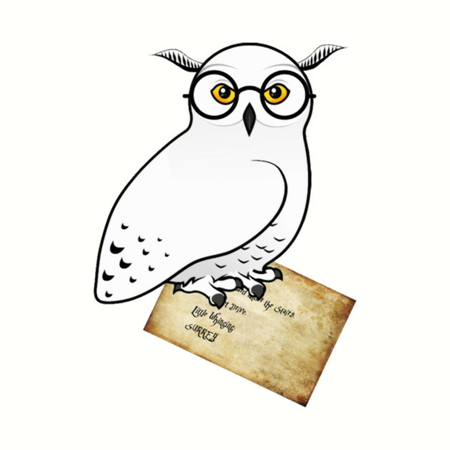 Download High Quality harry potter clipart hedwig Transparent PNG