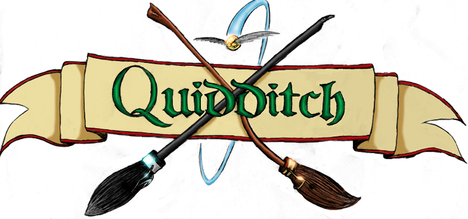Download High Quality harry potter clipart quidditch Transparent PNG