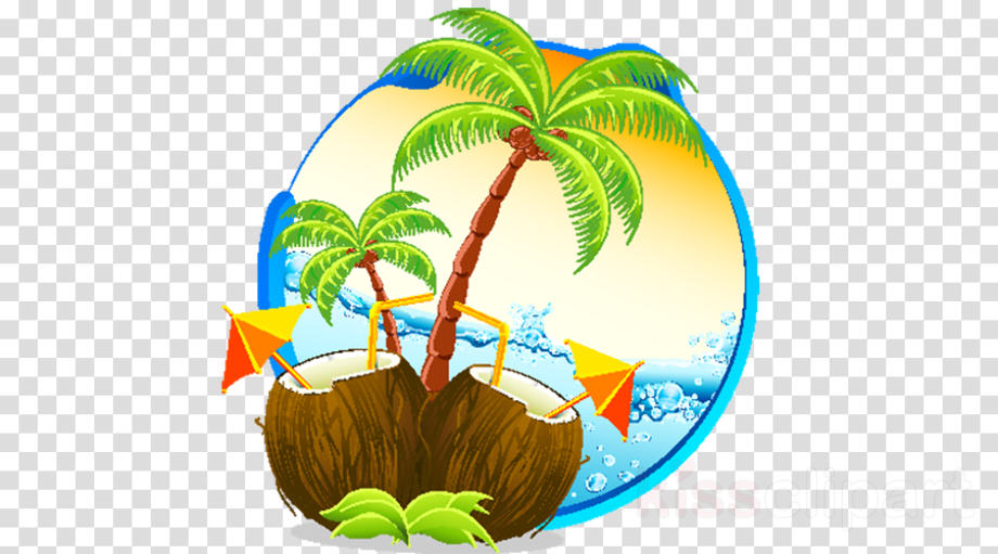 Download High Quality hawaii clipart coconut Transparent PNG Images