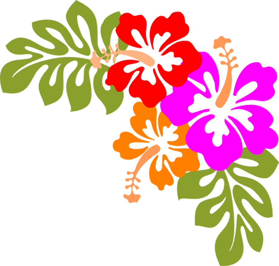Download High Quality hawaii clipart tropical Transparent PNG Images