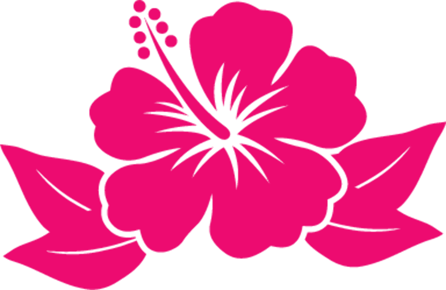 Download High Quality Hibiscus Clipart Cartoon Transparent Png Images