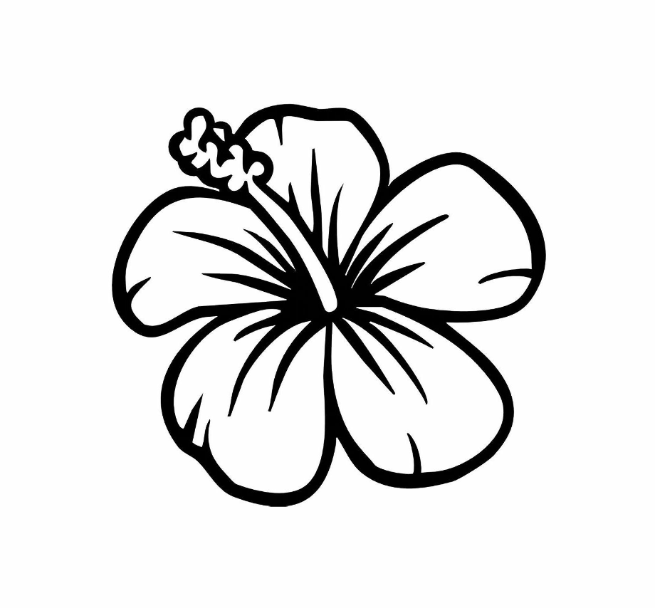 hibiscus clipart drawing