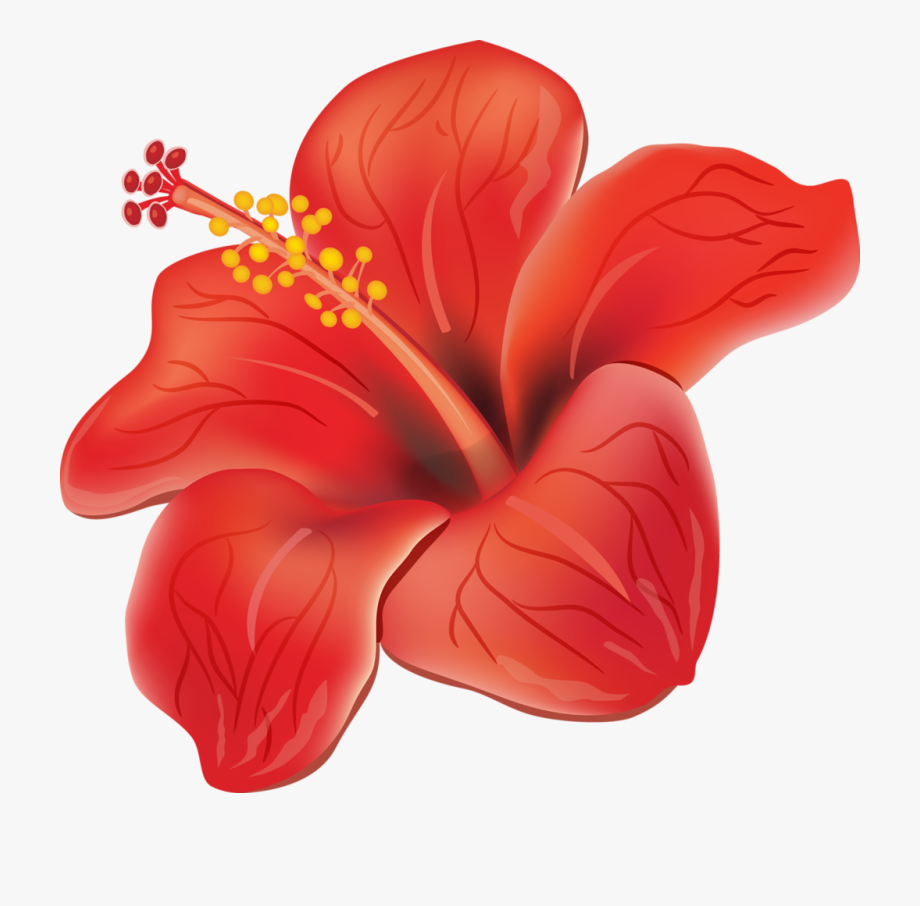 Download High Quality hibiscus clipart moana Transparent PNG Images