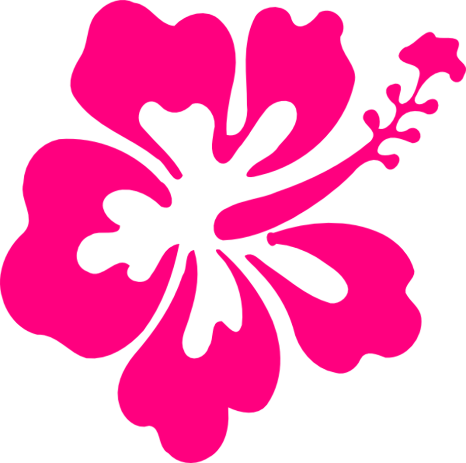 Download High Quality Hibiscus Clipart Pink Transparent Png Images