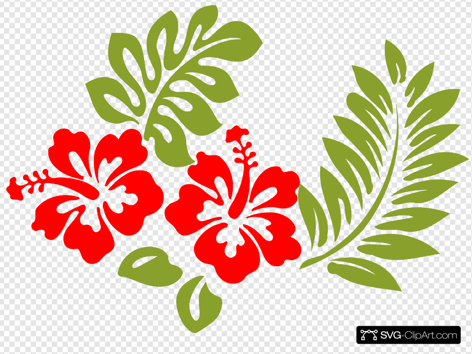 Download High Quality hibiscus clipart svg Transparent PNG Images - Art ...