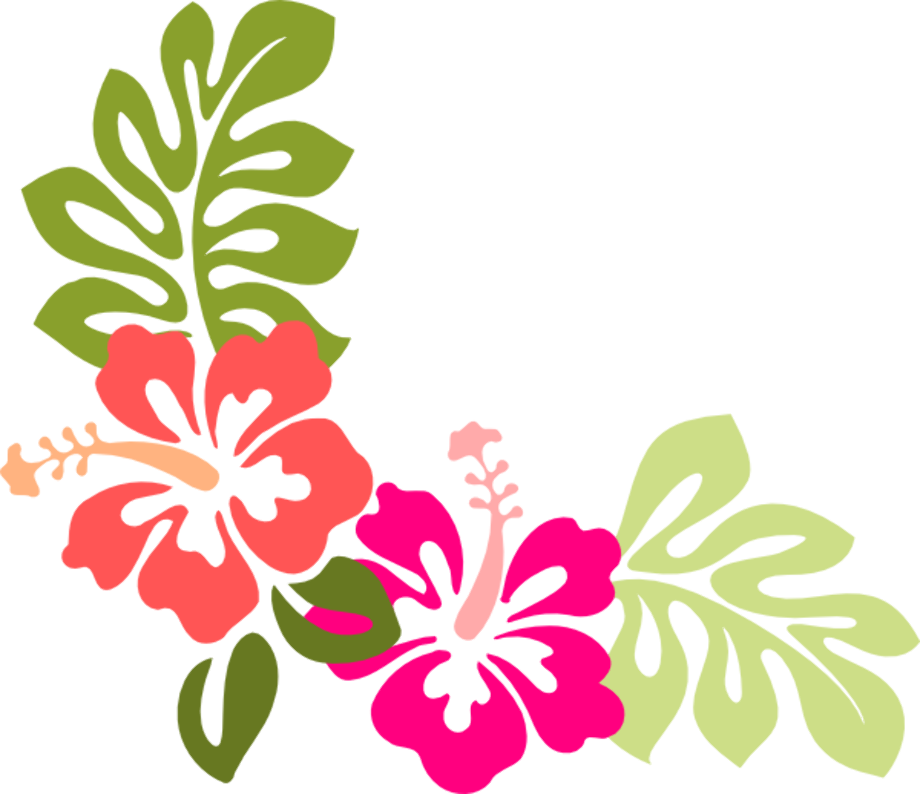 Download High Quality Hibiscus Clipart Vector Transparent Png Images