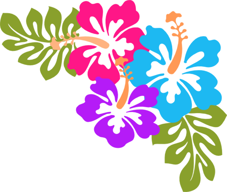 Download High Quality hibiscus clipart vector Transparent PNG Images.