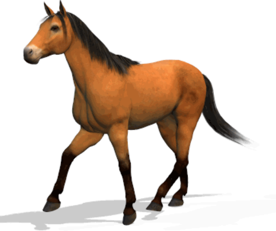 Download High Quality horse clipart animated Transparent PNG Images ...
