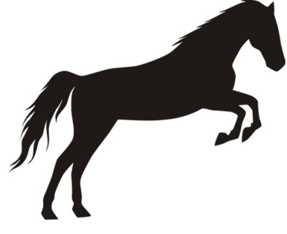 horse clipart black and white jumping