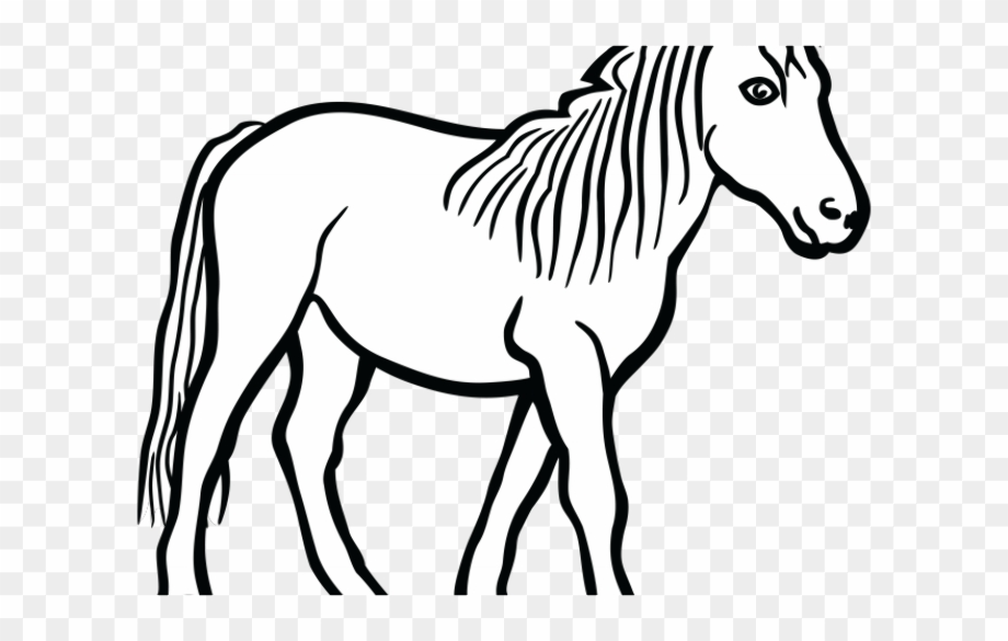 Download High Quality horse clipart black and white