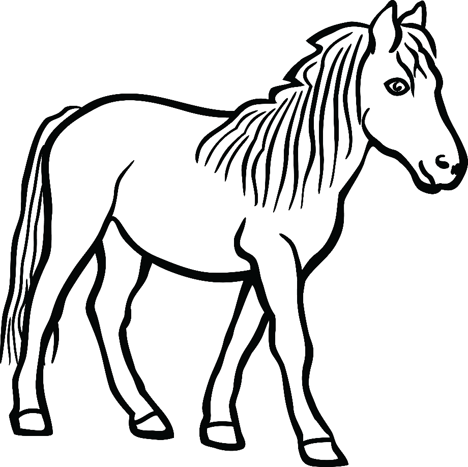 Download High Quality horse clipart simple Transparent PNG Images - Art ...