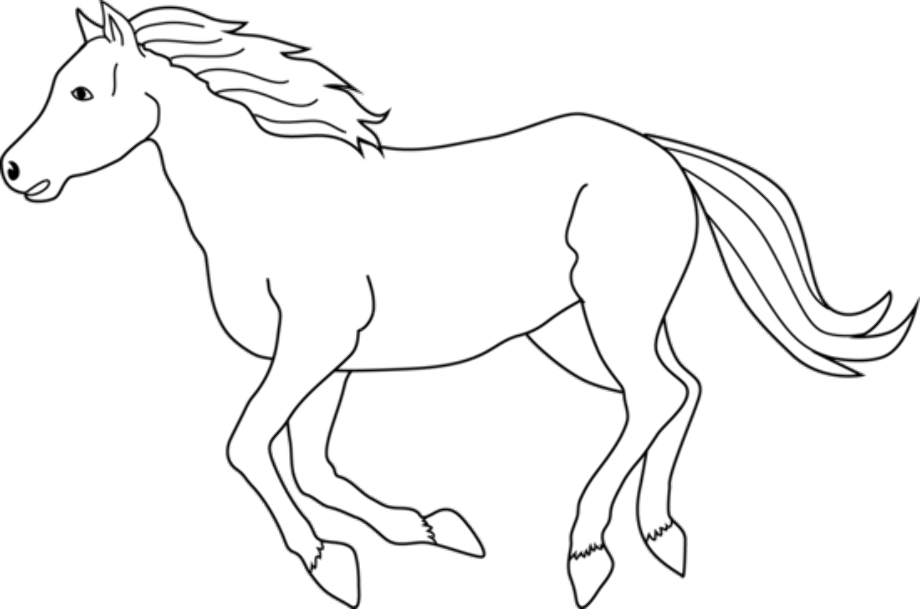 horse clipart black and white realistic