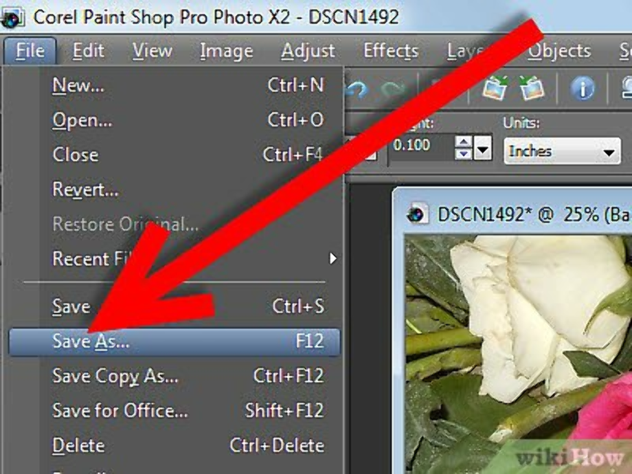 how to make a transparent background in paint paintshop pro