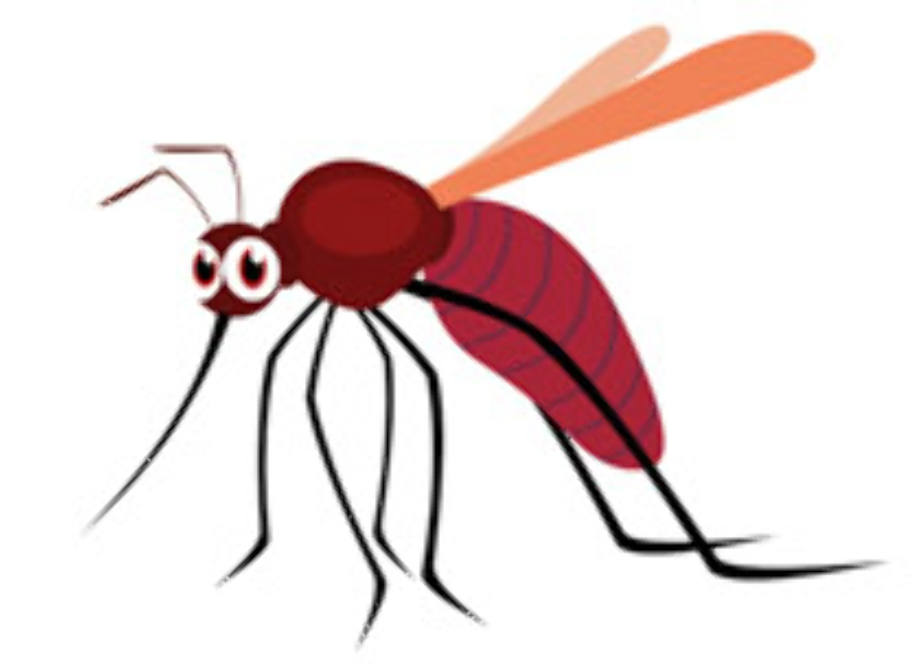 insect clipart mosquito