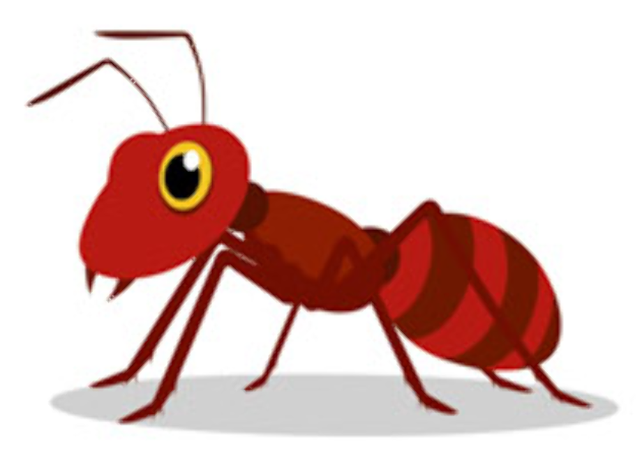 insect clipart ant