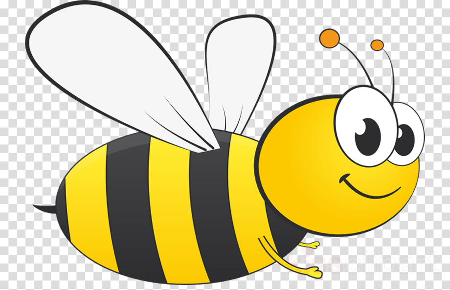 Download Download High Quality insect clipart bumblebee Transparent ...