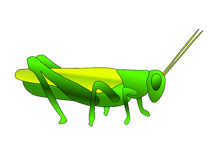 insect clipart grasshopper