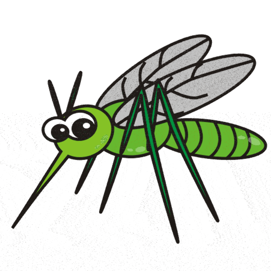 mosquito clipart animated