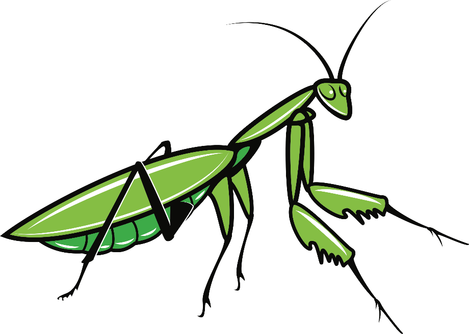 insect clipart praying mantis