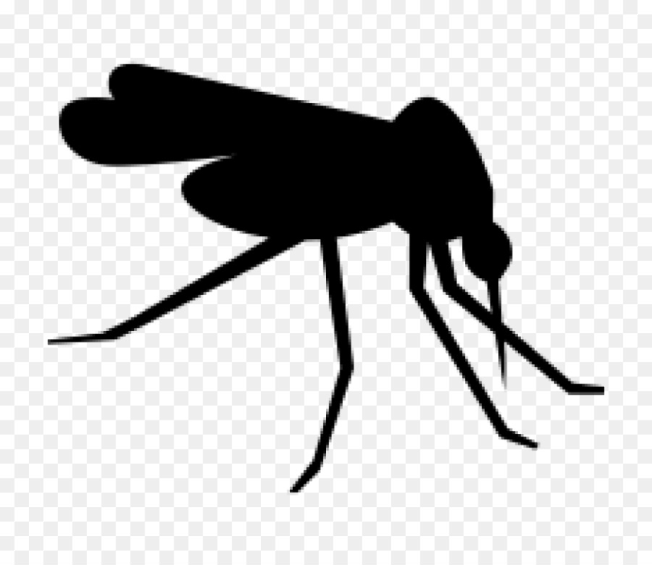 mosquito clipart silhouette