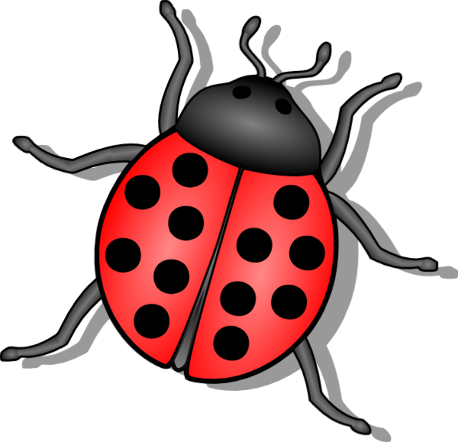 insect clipart vector