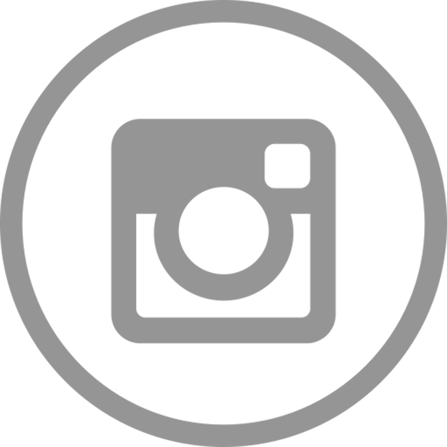 instagram logo vector grey