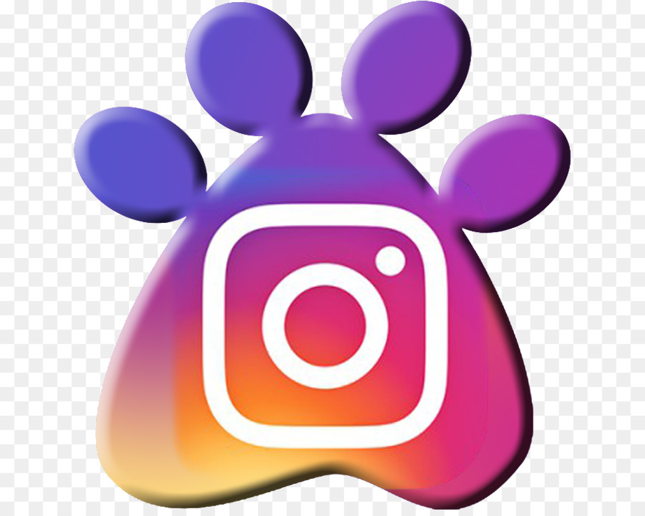 Download High Quality instagram transparent logo cartoon Transparent