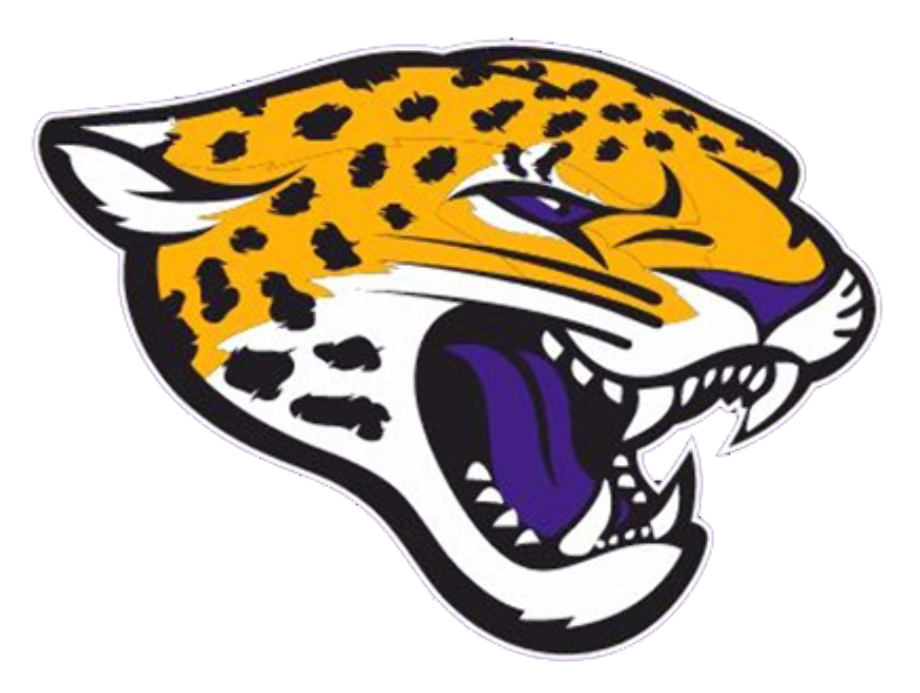 jaguar logo school