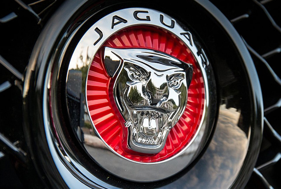 Download High Quality jaguar logo emblem Transparent PNG Images - Art ...