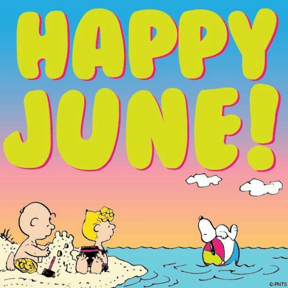 Download High Quality june clipart summer vacation Transparent PNG