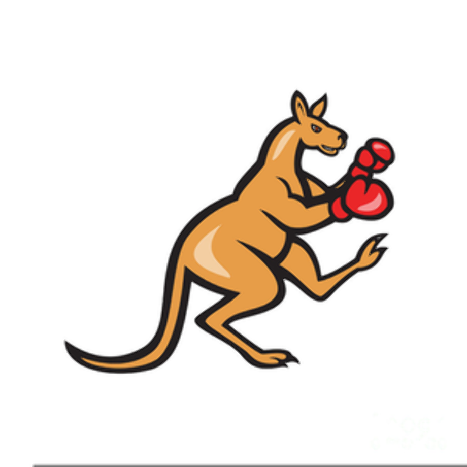 kangaroo clipart boxing
