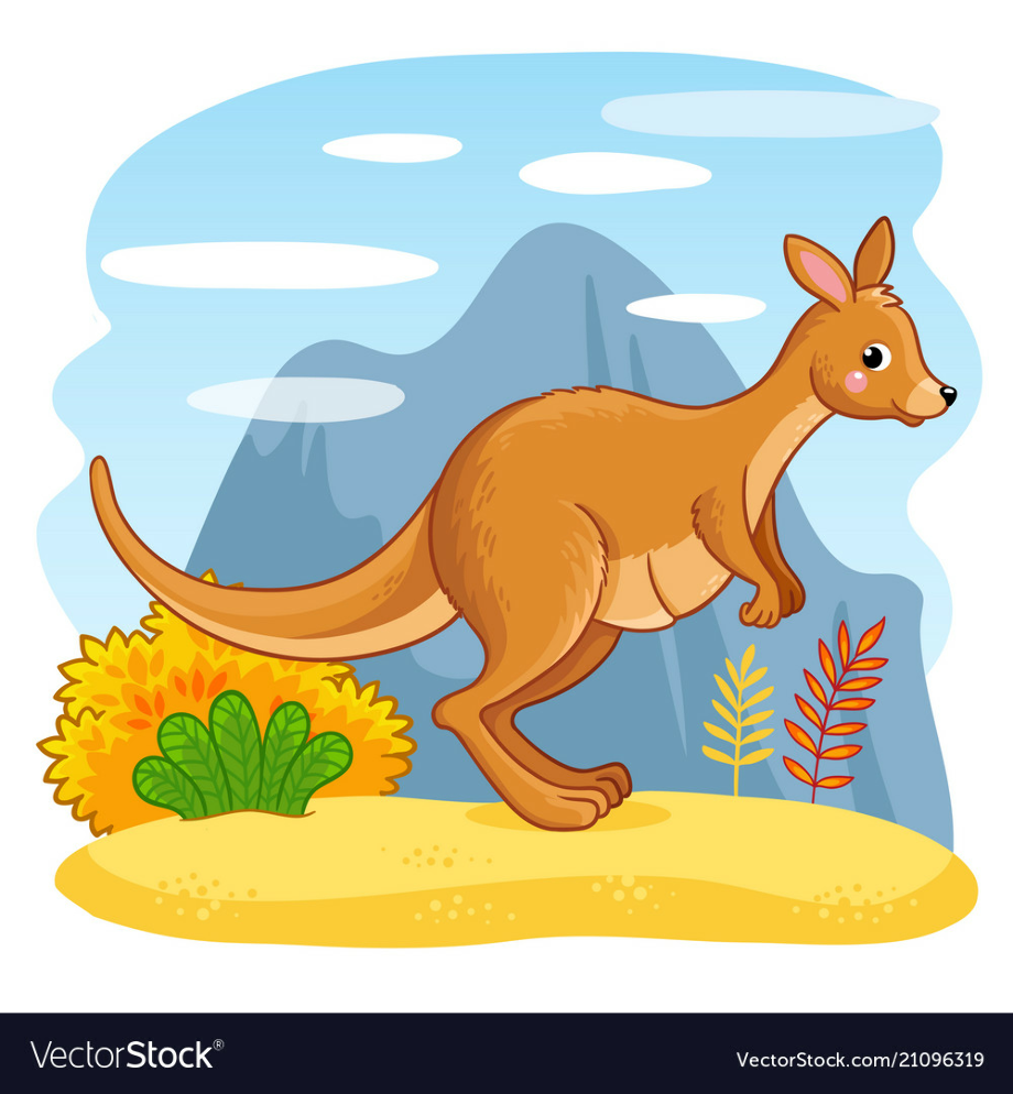kangaroo clipart vector
