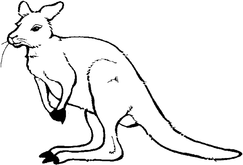 kangaroo clipart black