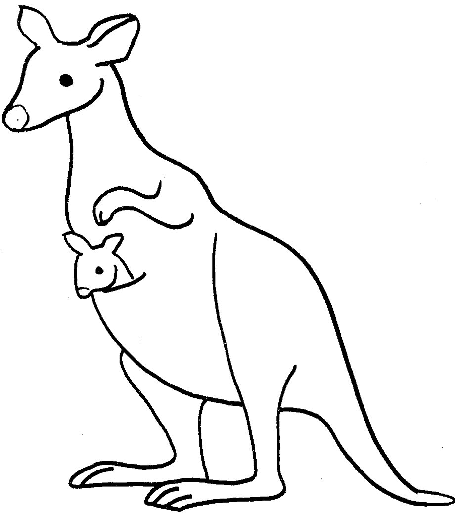 kangaroo clipart coloring