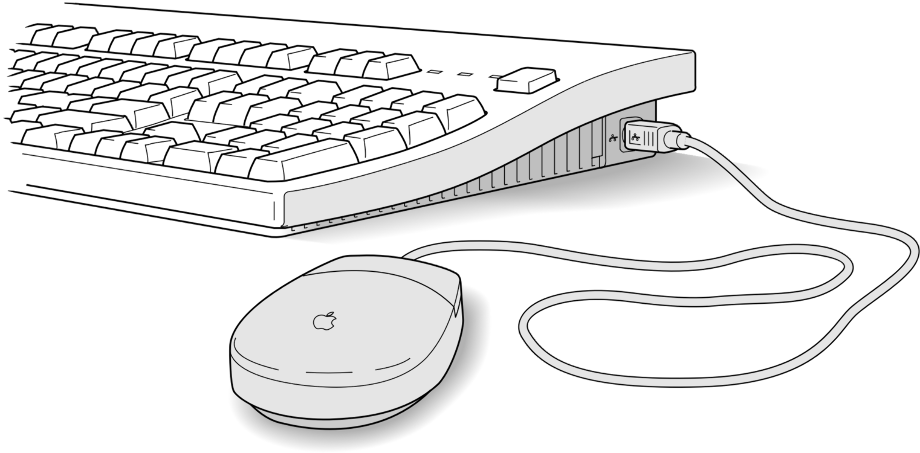 Download High Quality keyboard clipart mouse Transparent PNG Images