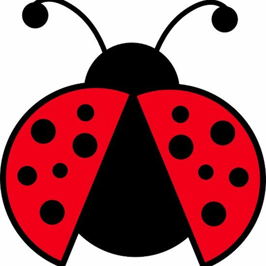 Download High Quality Ladybug Clipart Printable Transparent PNG Images Art Prim Clip Arts 2019