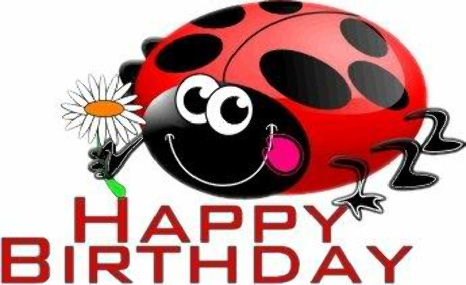 Download High Quality ladybug clipart happy Transparent PNG Images ...
