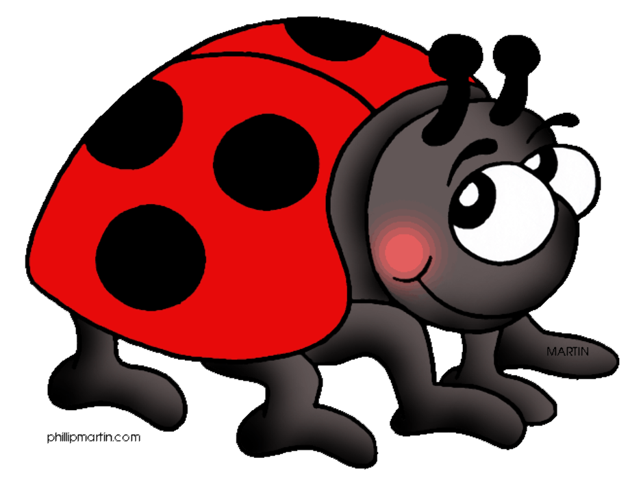 Download High Quality Ladybug Clipart Bug Transparent Png Images Art