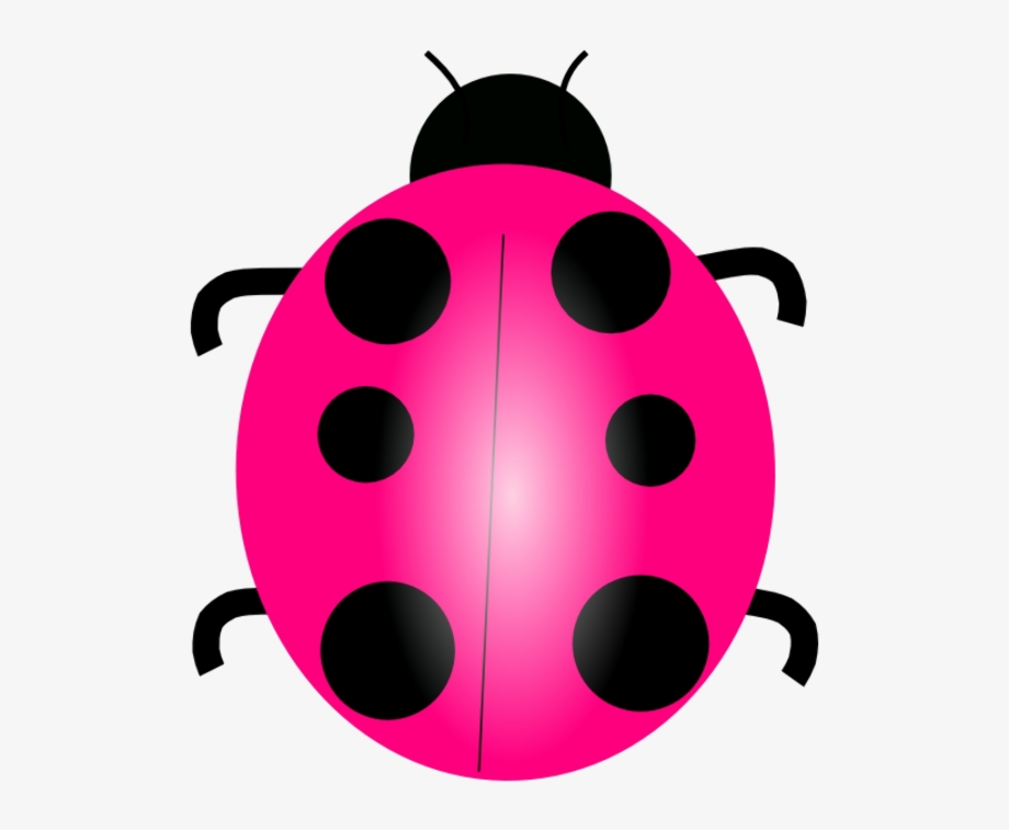 Download High Quality ladybug clipart pink Transparent PNG Images - Art