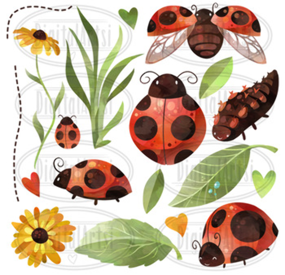 ladybug clipart watercolor