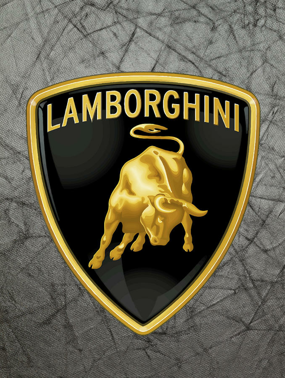 lamborghini logo carbon fiber
