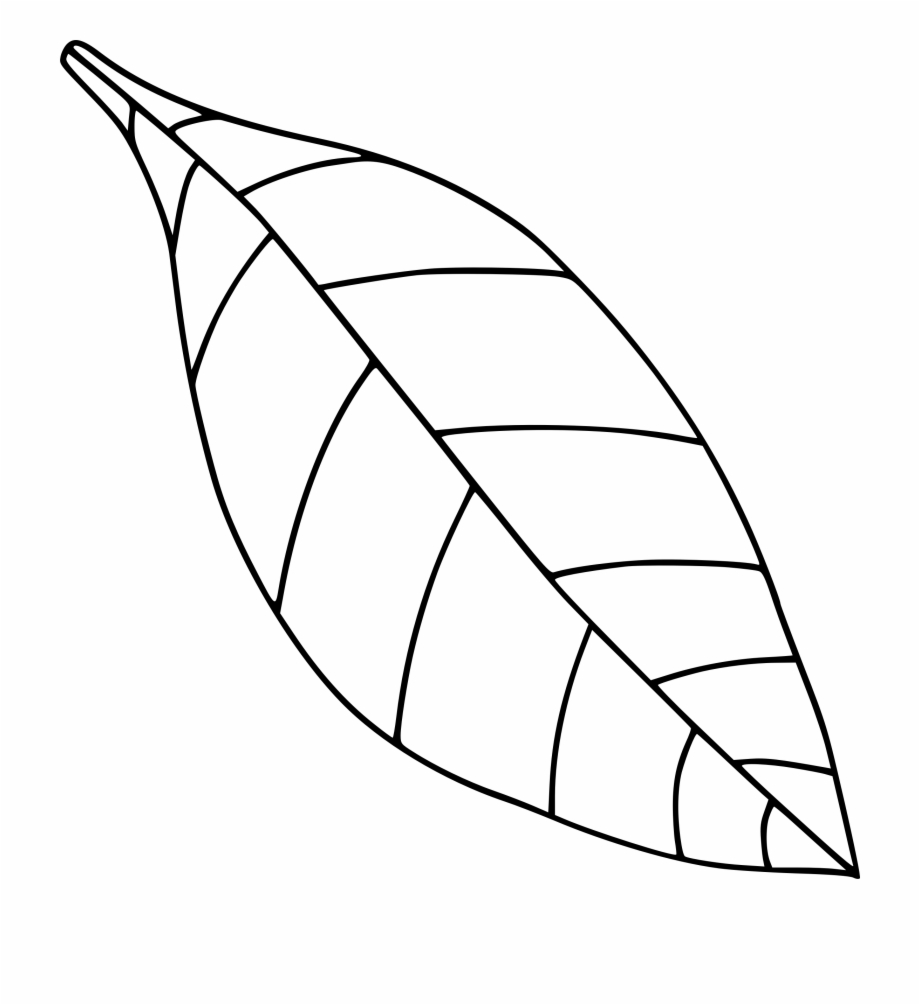 apple clipart black and white leaf