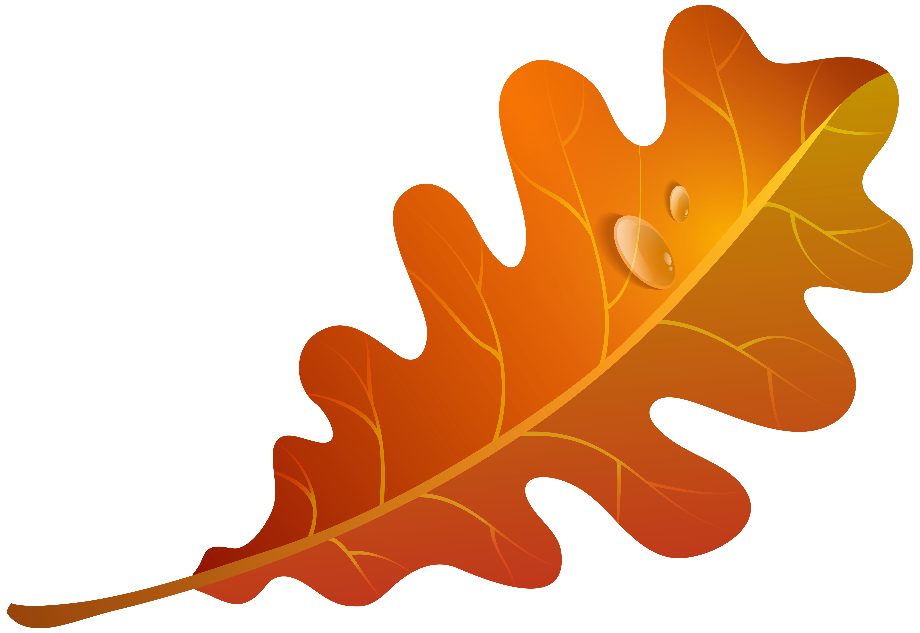 fall leaf clipart modern
