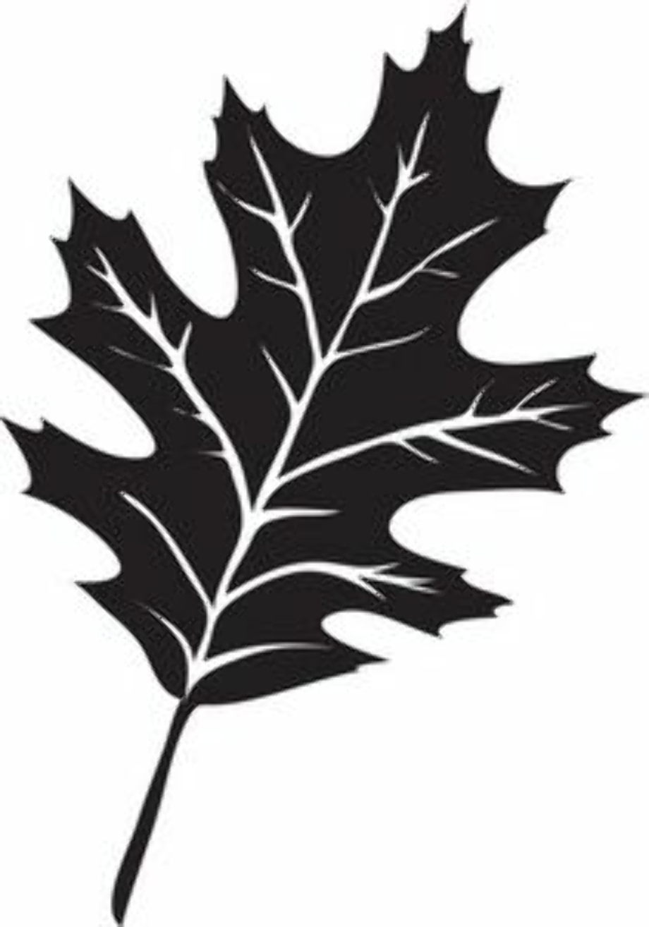 fall leaf clipart silhouette