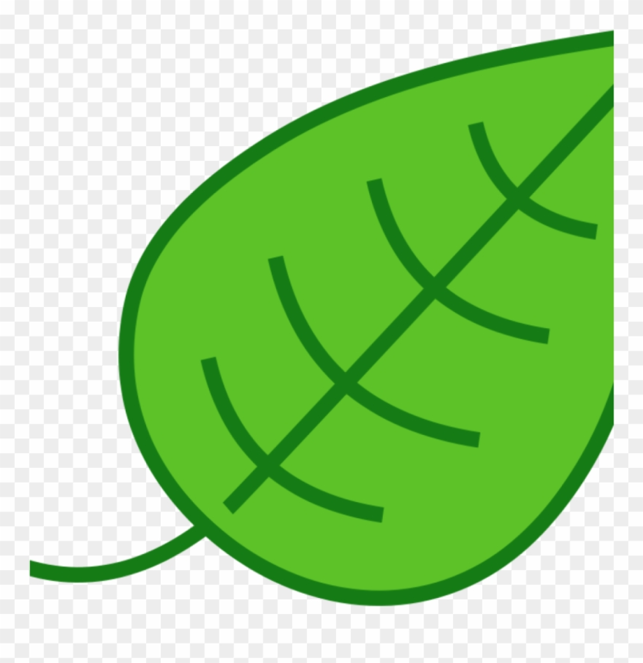 leaf clipart simple